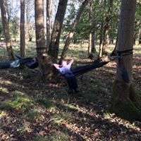 22815643_518563245144307_463295549809448345_n